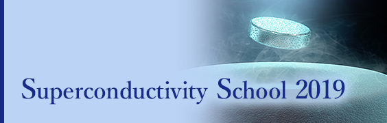 Superconductivity School 2020